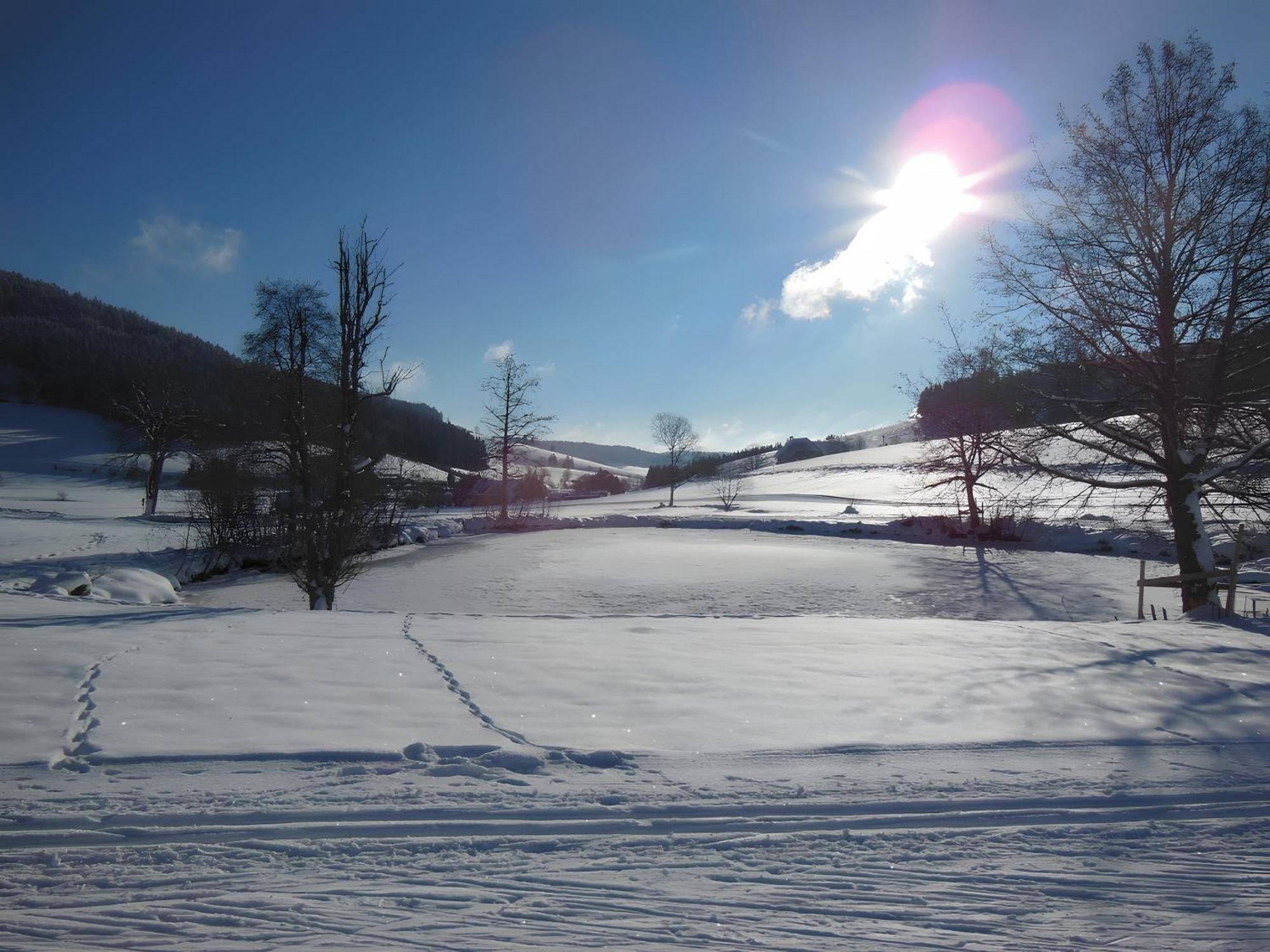 Ferienhaus Kaltenbach ทิทิเซ-นอยชตัดท์ ภายนอก รูปภาพ