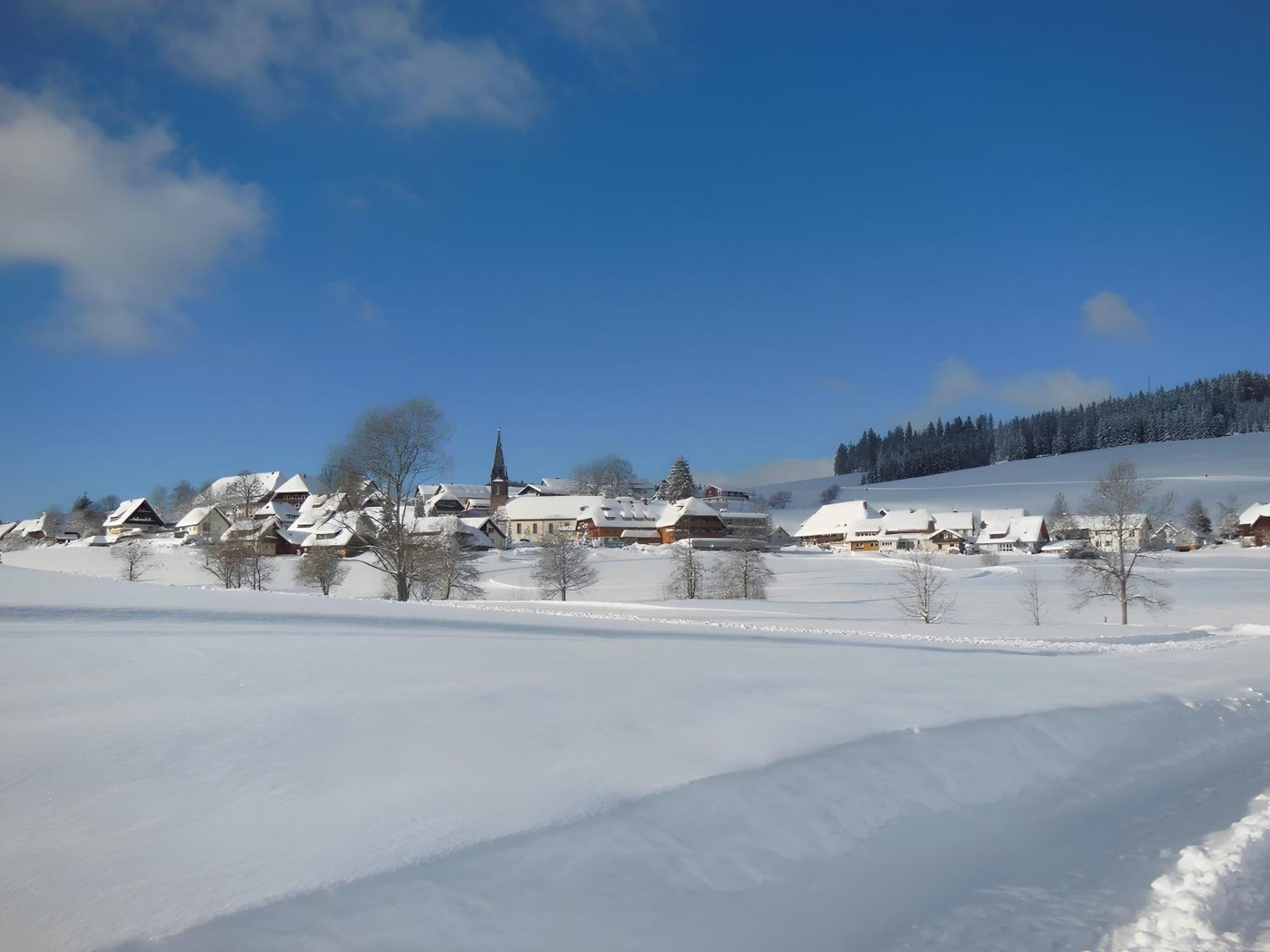 Ferienhaus Kaltenbach ทิทิเซ-นอยชตัดท์ ภายนอก รูปภาพ