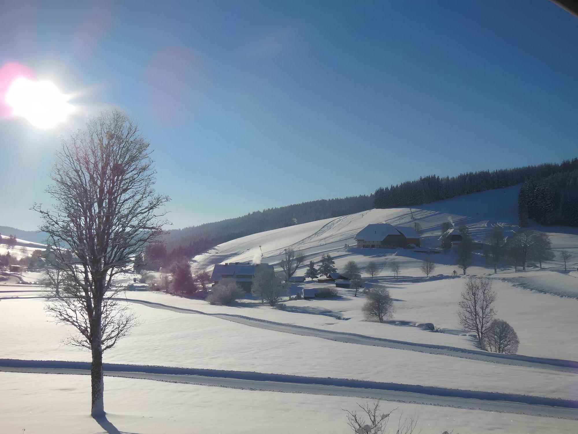Ferienhaus Kaltenbach ทิทิเซ-นอยชตัดท์ ภายนอก รูปภาพ