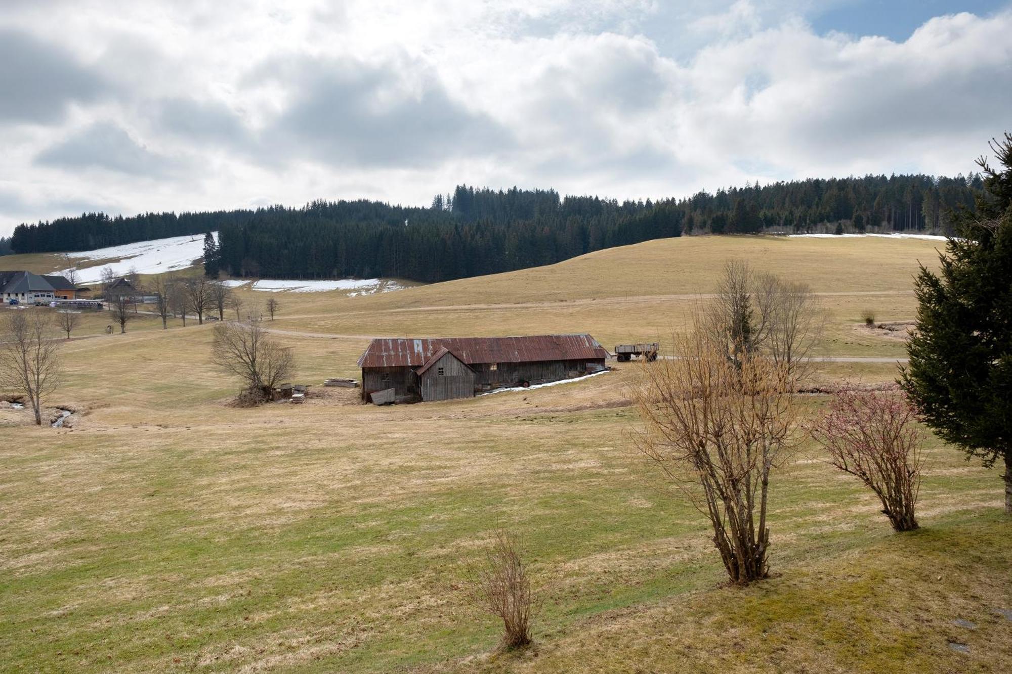 Ferienhaus Kaltenbach ทิทิเซ-นอยชตัดท์ ภายนอก รูปภาพ