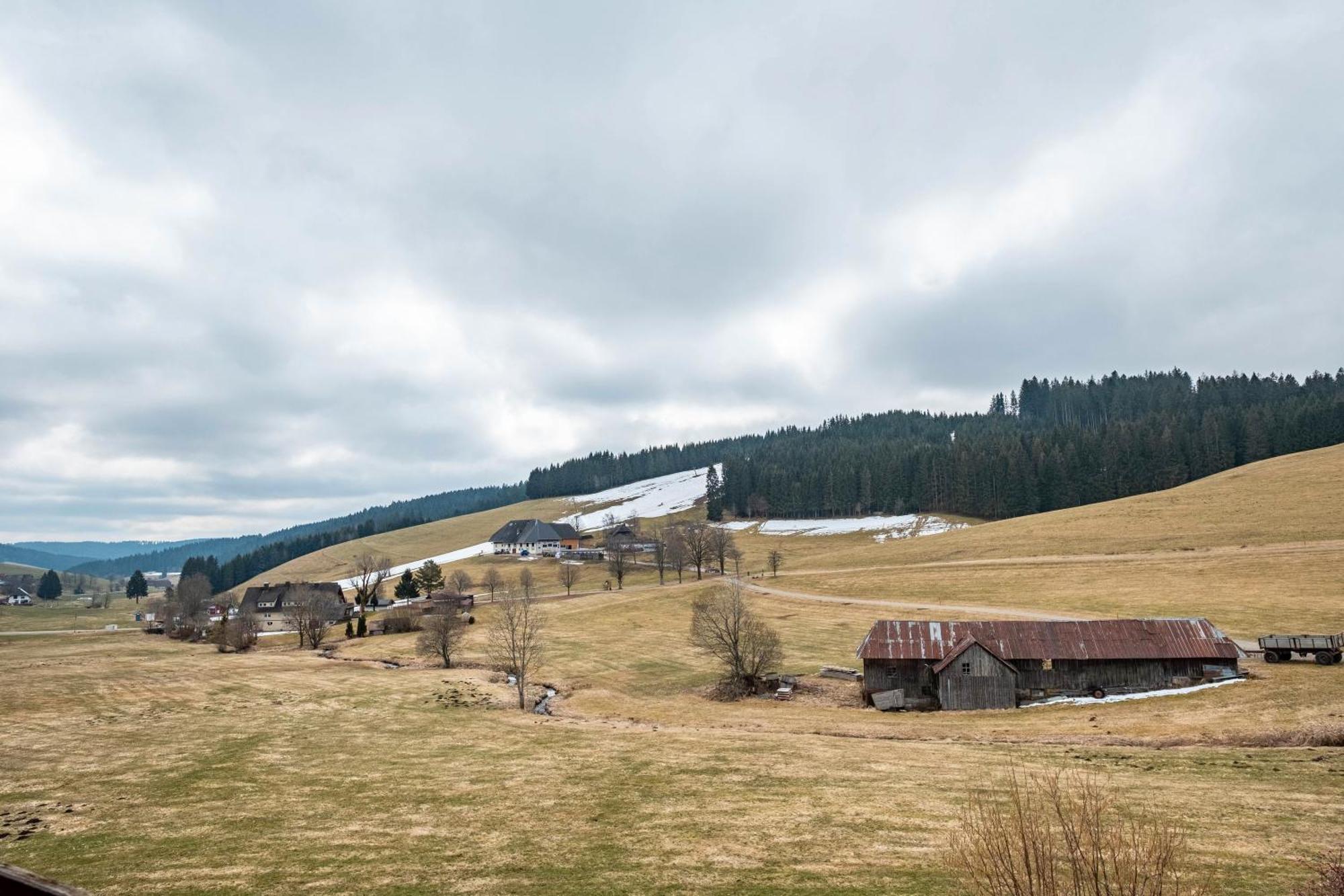 Ferienhaus Kaltenbach ทิทิเซ-นอยชตัดท์ ภายนอก รูปภาพ