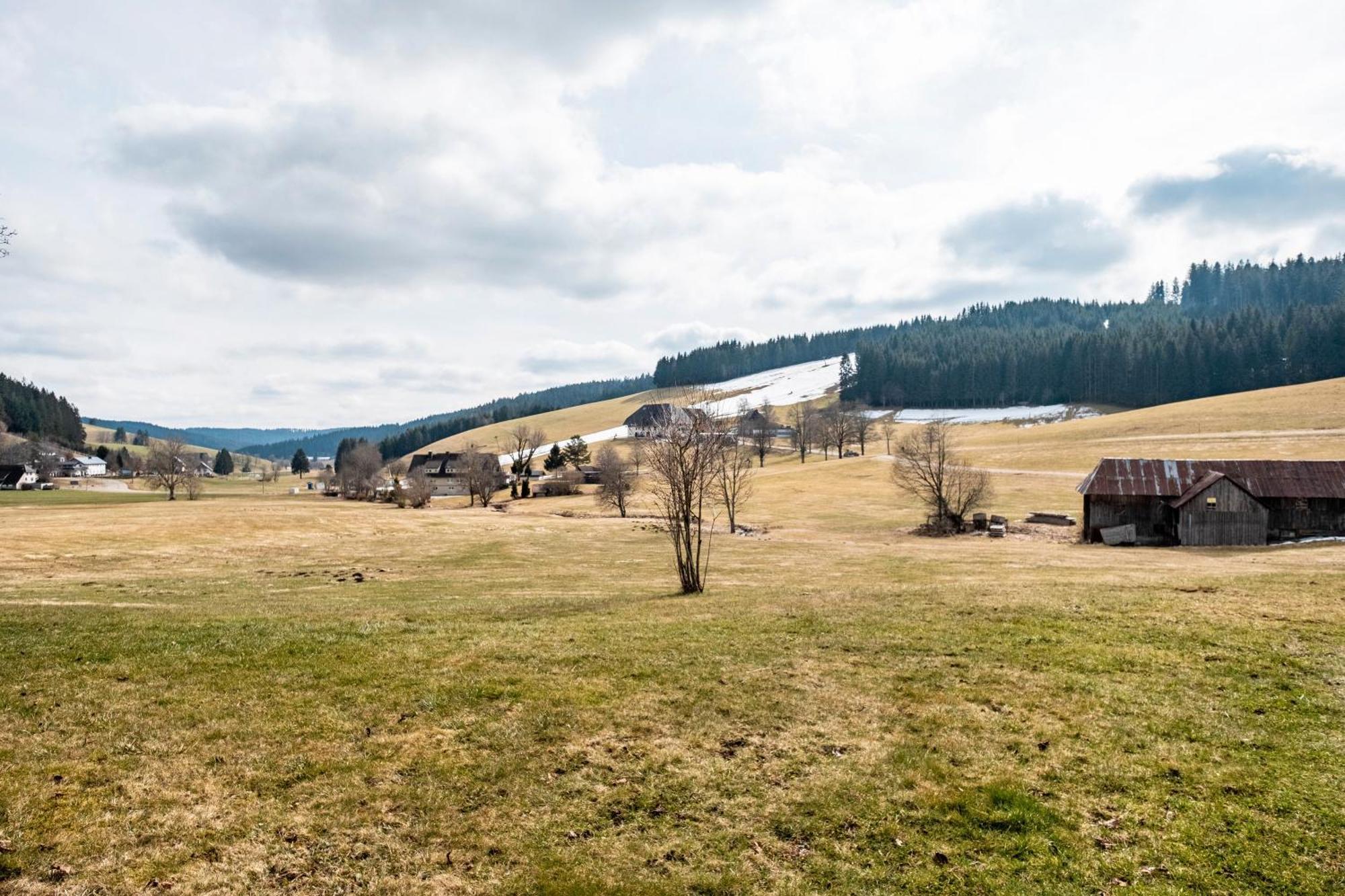 Ferienhaus Kaltenbach ทิทิเซ-นอยชตัดท์ ภายนอก รูปภาพ